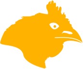 Geflügel mit Gemüse - Ragout  -  200g